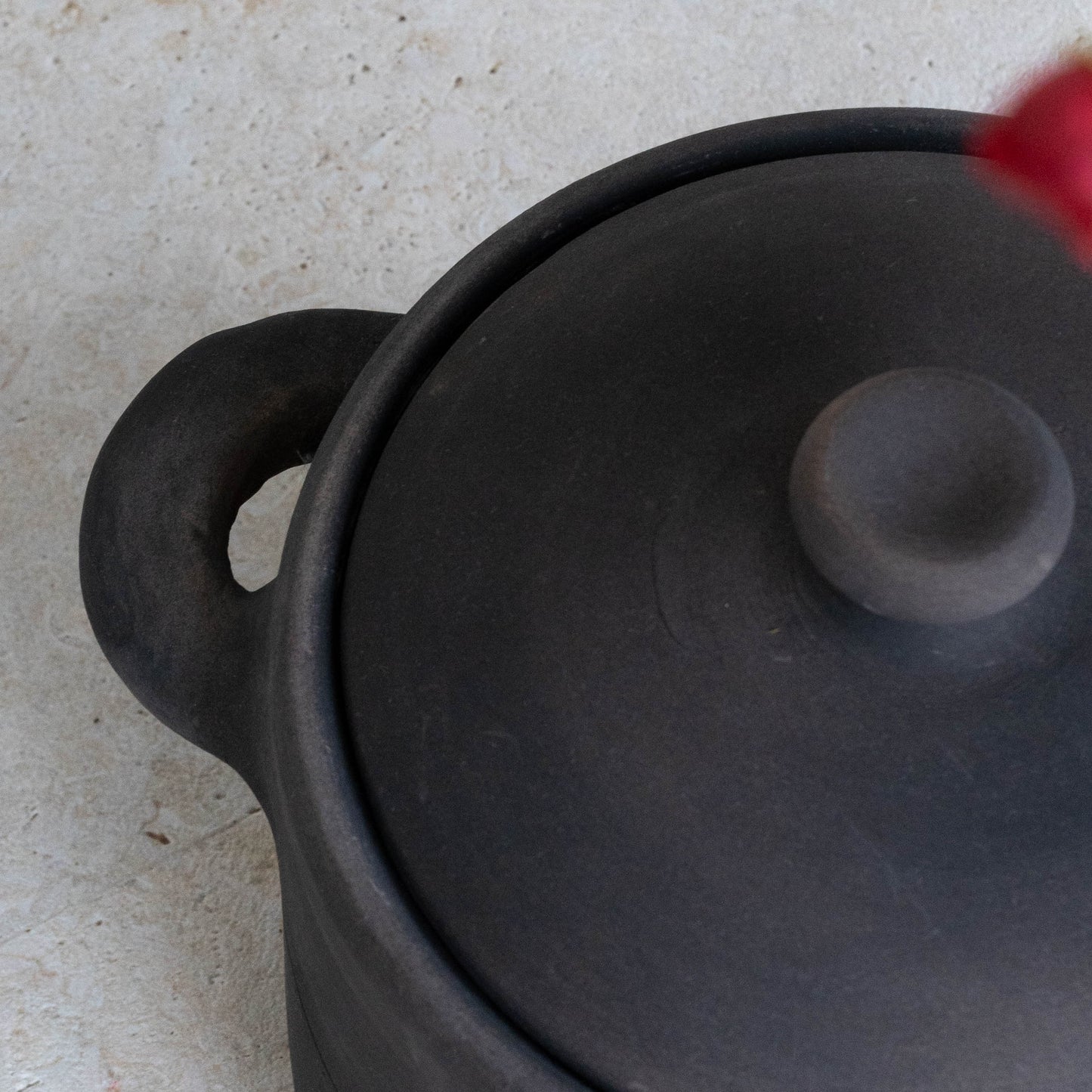 Calyx Pot Decorative Clay Storage Container With Lid