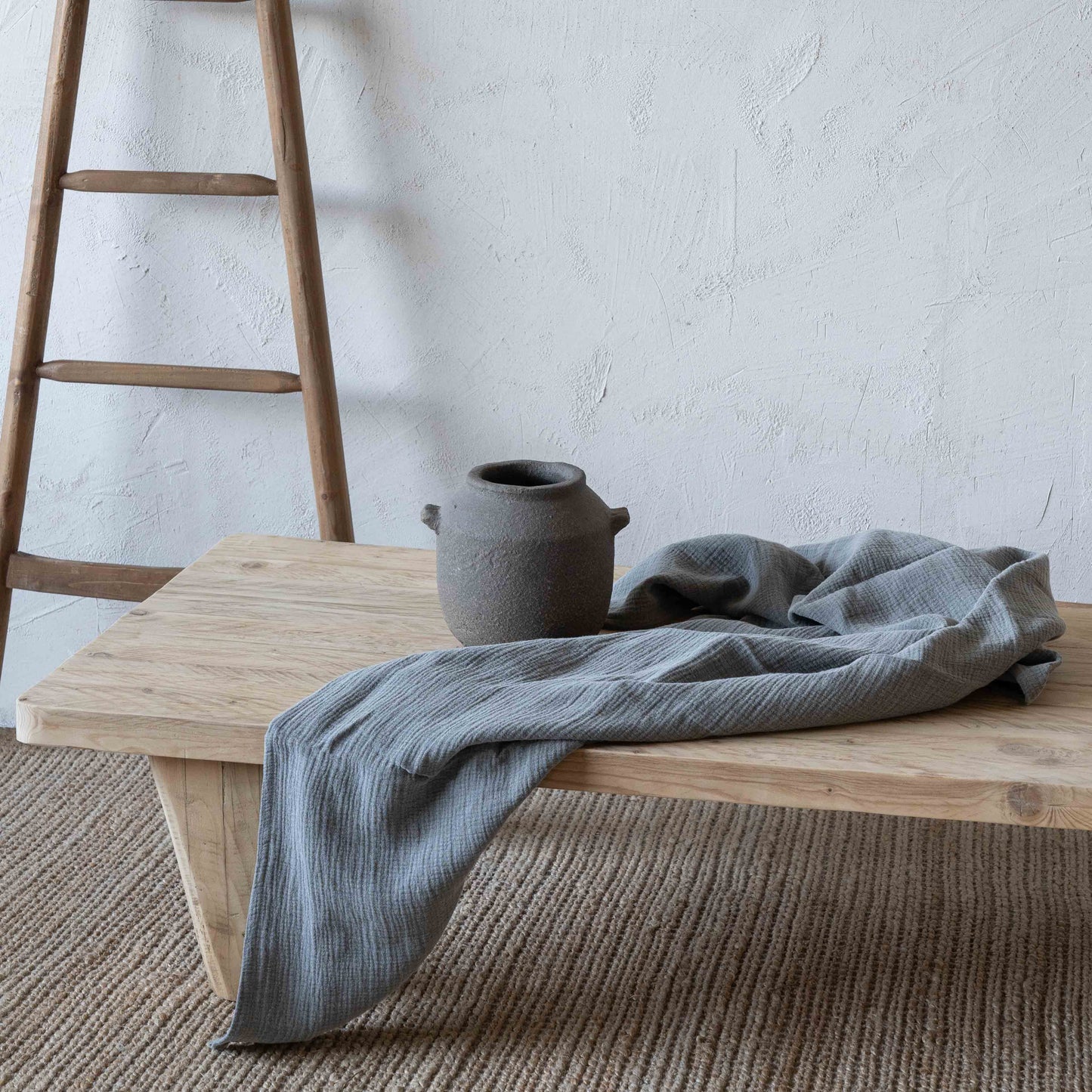 Grove Decorative Terracotta Vase With Handle | Flower Pot