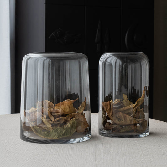 Odessa Decorative Glass Vase | Flower Pot (CLEAR)