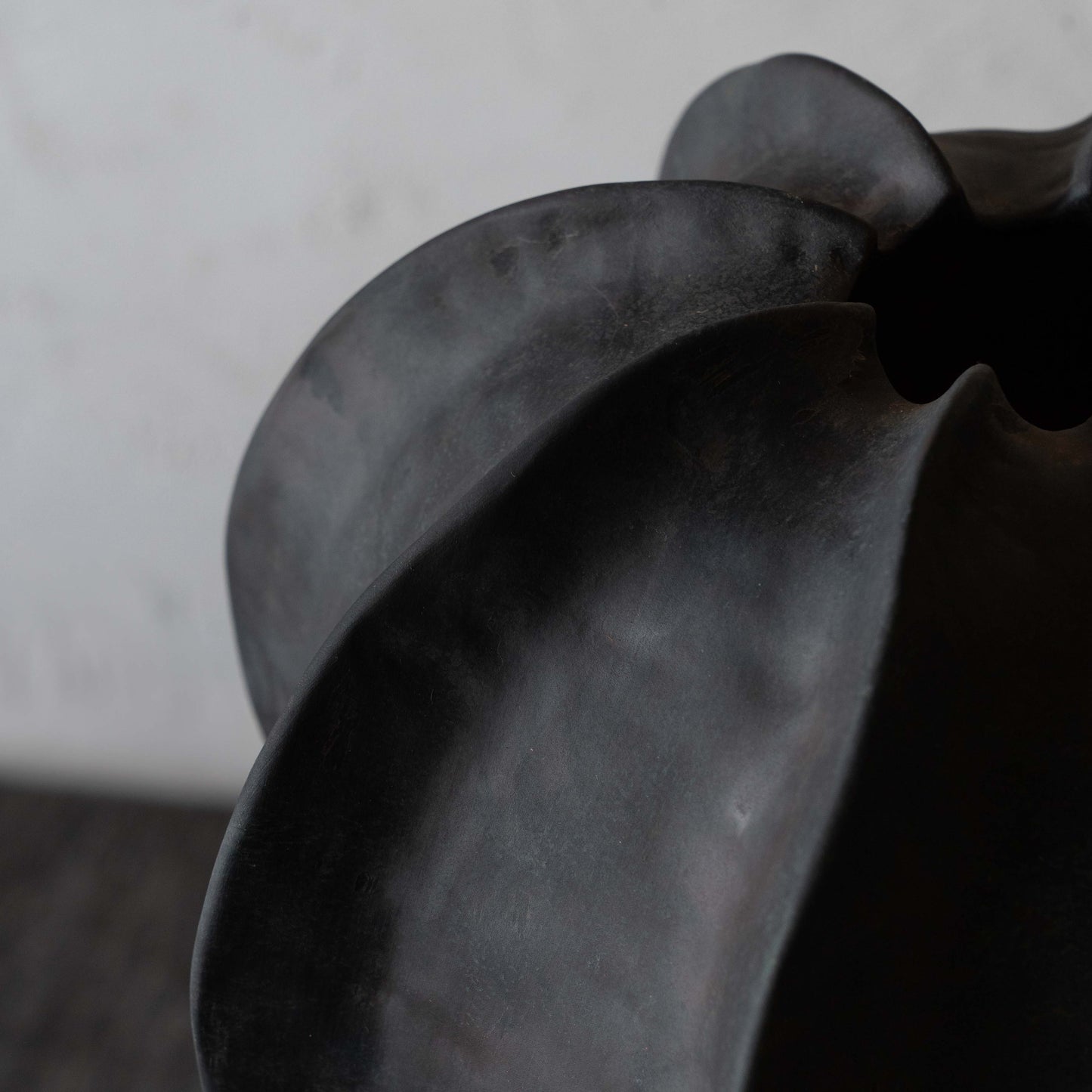 Verdant Decorative Black Vase | Flower Pot